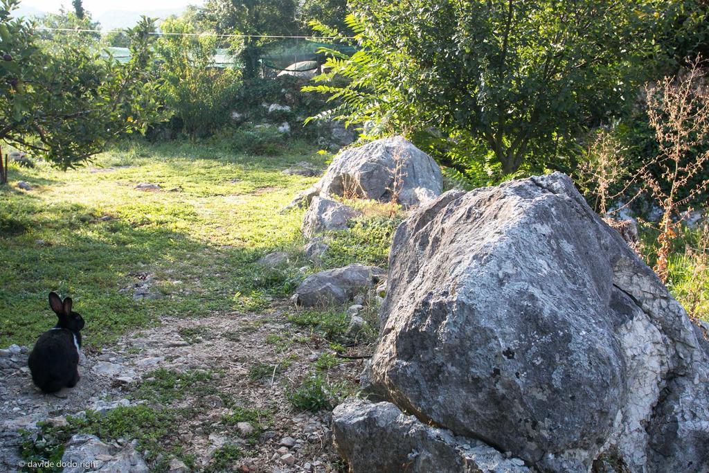 Maison d'hôtes Agrotourism Matusko à Neum Extérieur photo